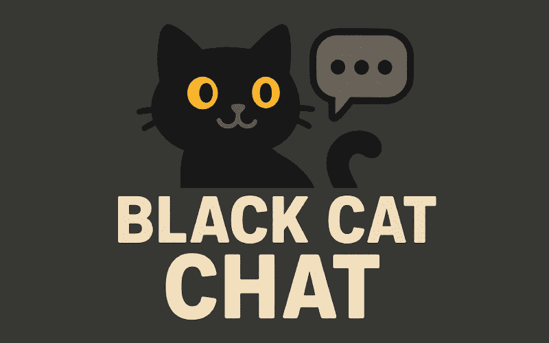 black-cat-chat screenshot
