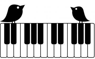 songbirds screenshot